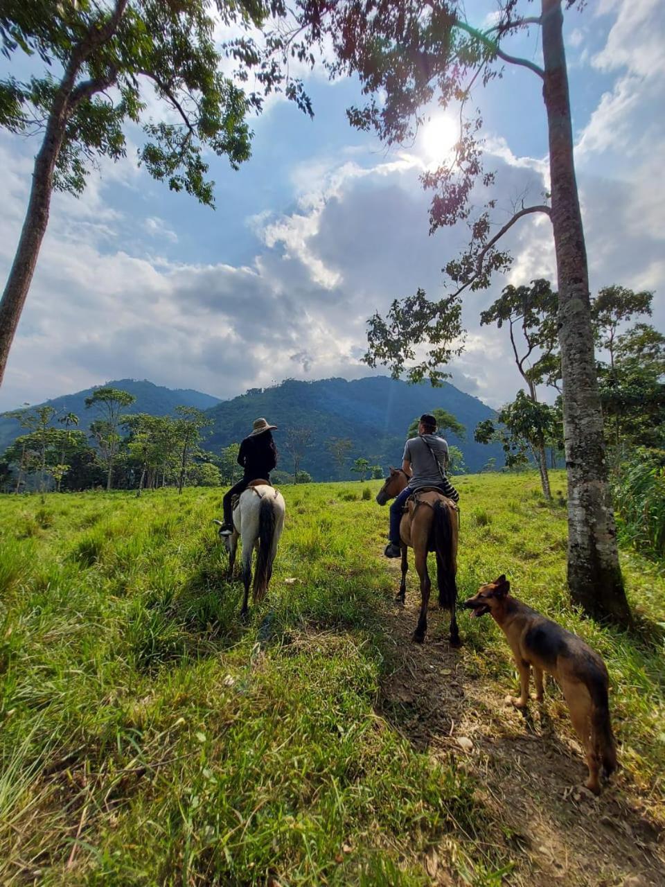 Rancho Porvenir Bed & Breakfast Mocoa Екстериор снимка